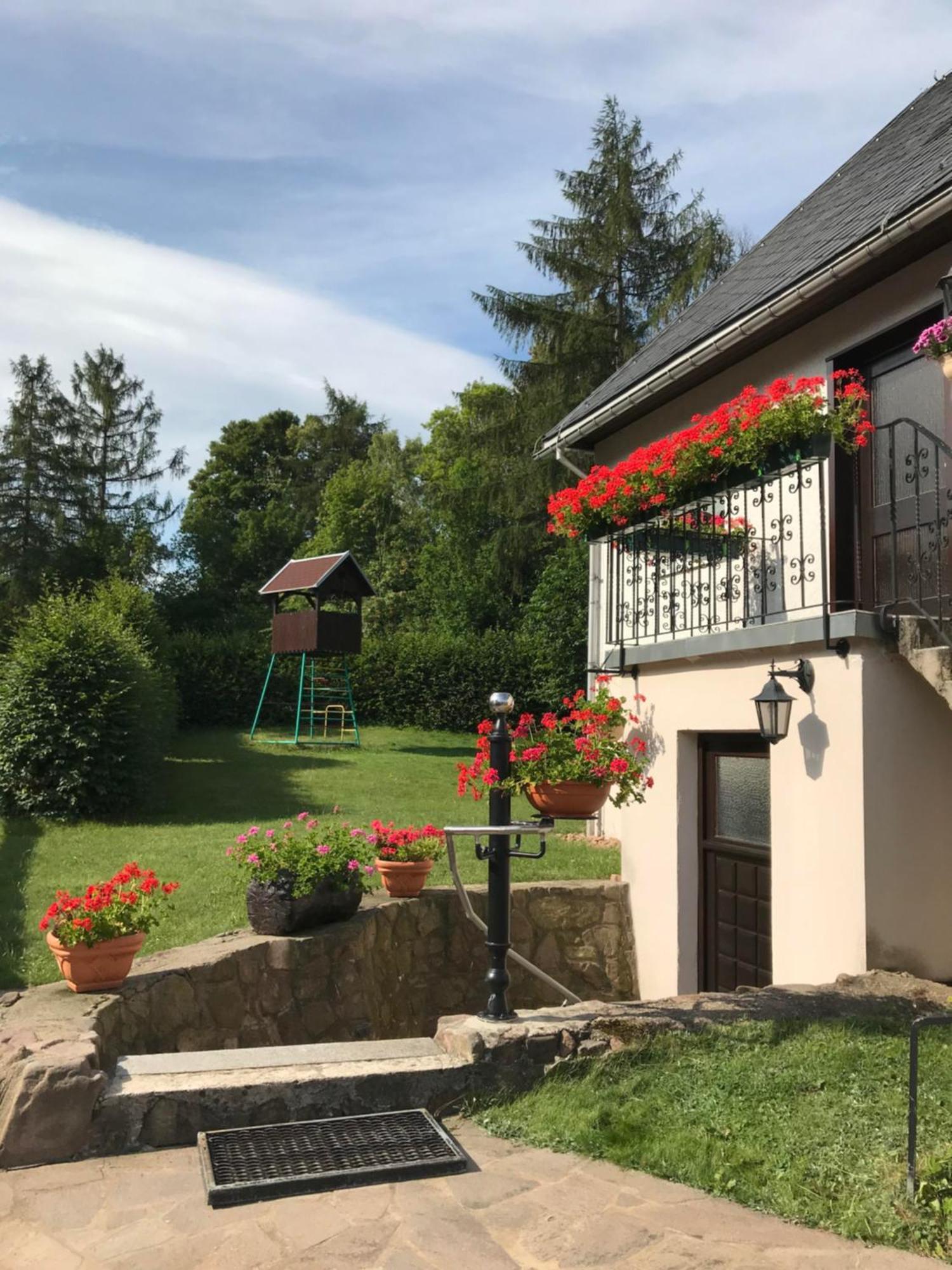 Ferienwohnung Grieser Geising Εξωτερικό φωτογραφία